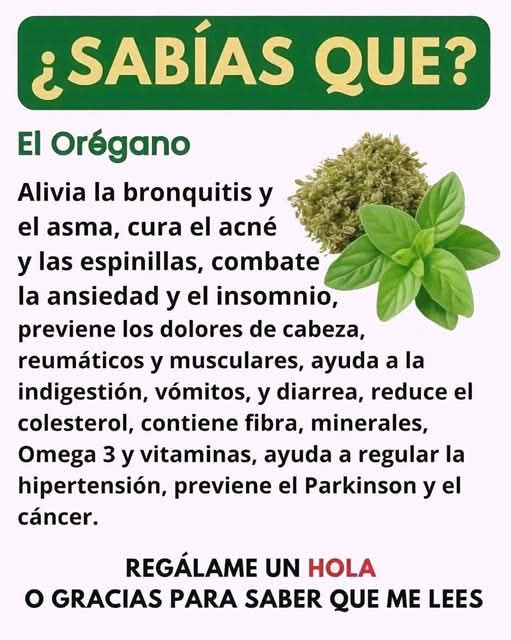 Si tienes esta planta en tu casa, tienes un tesoro y no lo sabías