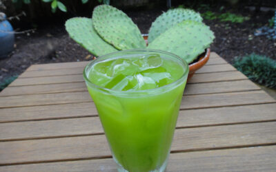 El agua de nopal: