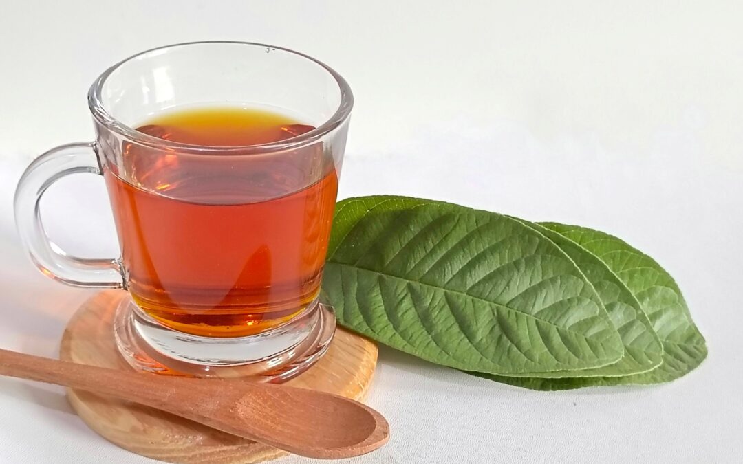 Té de Hojas de Guayaba: beneficios, propiedades y como prepararlo
