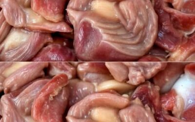 Mollejas de pollo: un superalimento