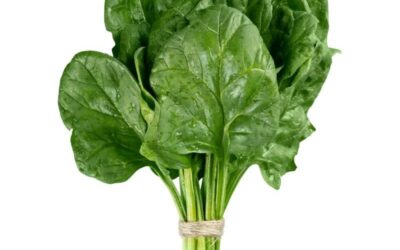 Alimentos que ayudan a depurar el organismo