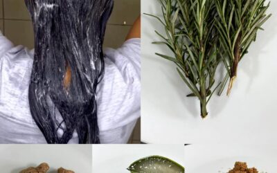 Shampoo Casero de Sábila, Romero y Especias: Fortalece y Estimula el Crecimiento del Cabello