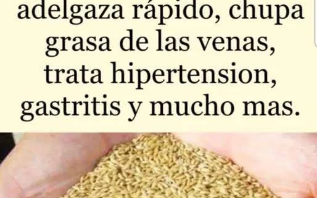 Alpiste el milagro de la naturaleza