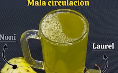 la Naturaleza: Noni, Laurel, Guayaba y Cúrcuma