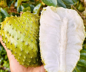 Esta es la fruta que debe comer para prevenir