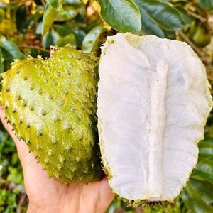 Esta es la fruta que debe comer para prevenir