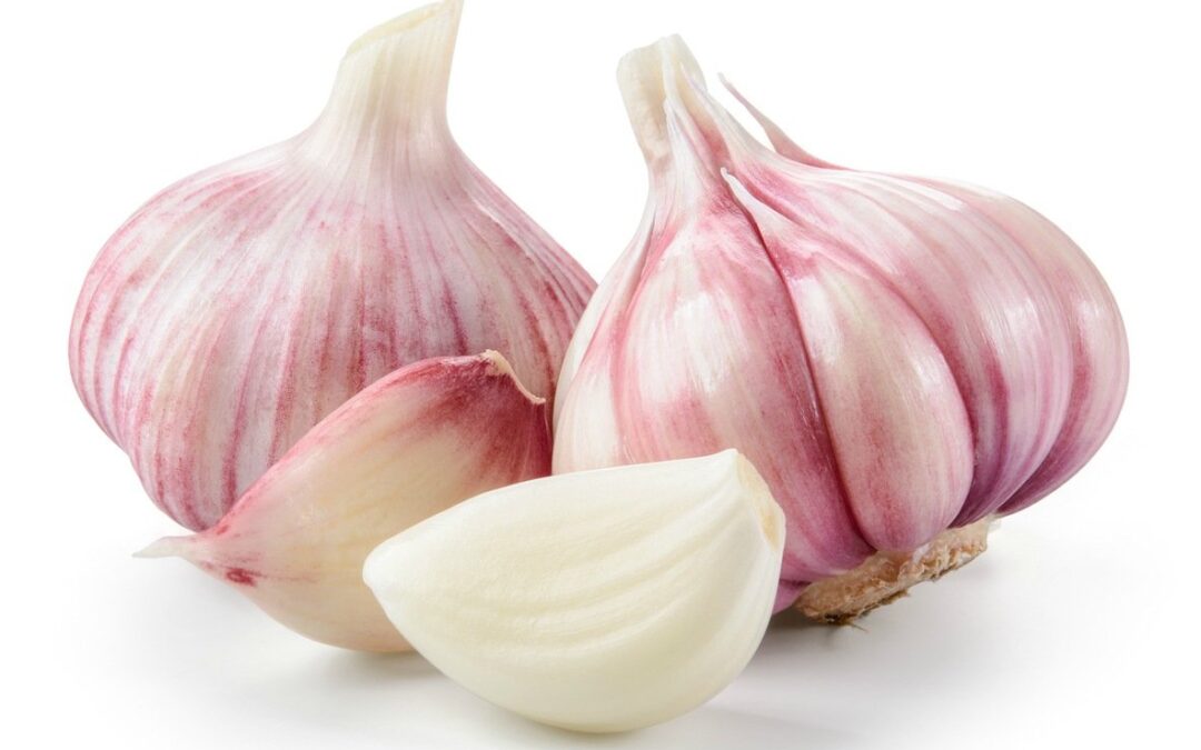 El Ajo fortalece tu cuerpo