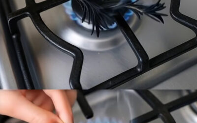 La tradición de quemar romero y sus beneficios para tu hogar