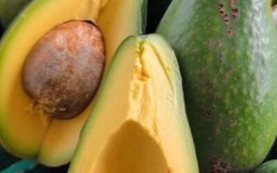 El consumo de aguacate