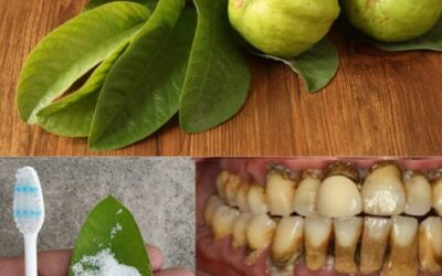 Hojas de guayaba: remedio natural para dientes y encías