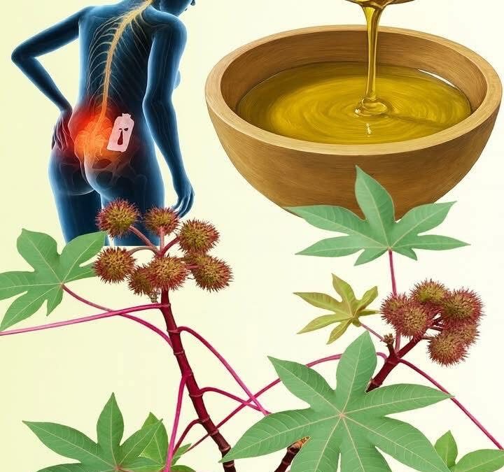 Ricino: el tesoro natural que crece en tu jardín