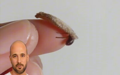 Las Paredes que Hablan: Cómo Interpretar sus Señales de Alerta