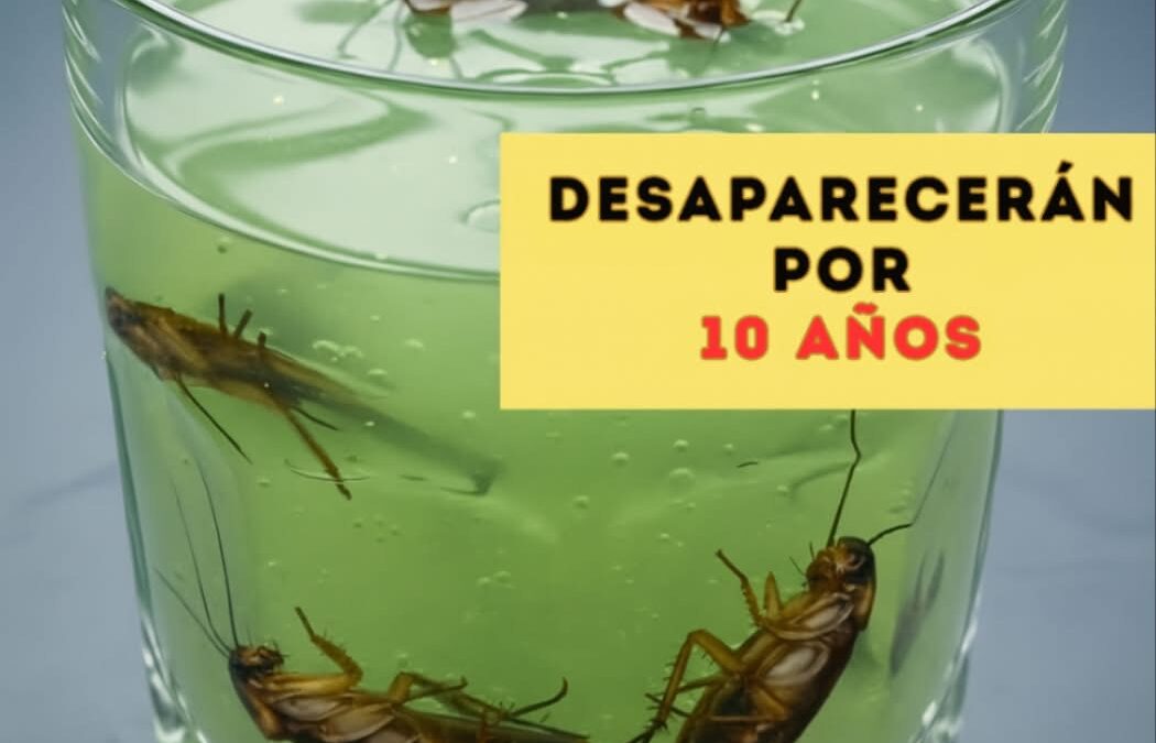 Despídete de mosquitos, cucarachas y otros insectos de forma natural y efectiva