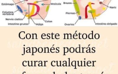 Descubre el Jin Shin Jyutsu: Sanación a través de tus Manos