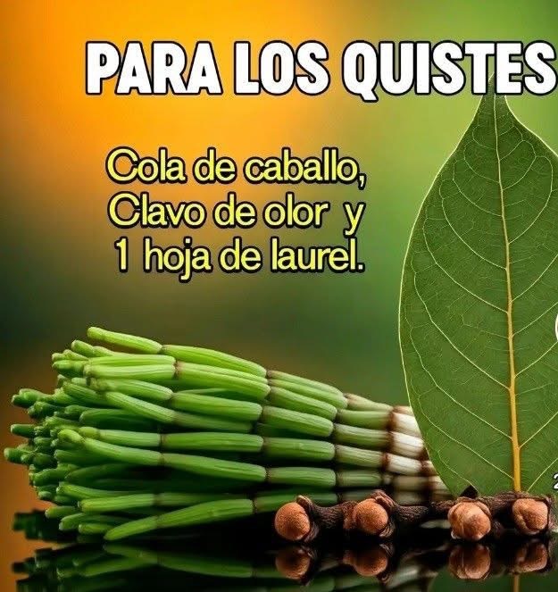 Te de laurel y clavo de olor