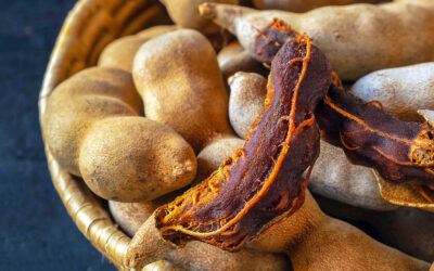 El tamarindo y sus beneficios y propiedades