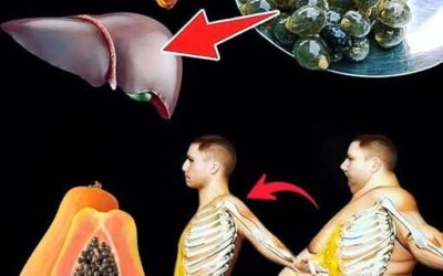 Semillas de Papaya: Beneficios para el Hígado y Pérdida de Peso