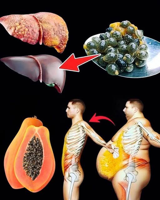 Semillas de Papaya: Beneficios para el Hígado y Pérdida de Peso