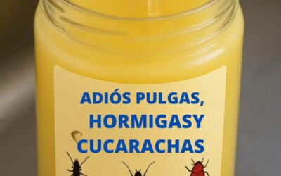 Despídete de las plagas del hogar de forma fácil