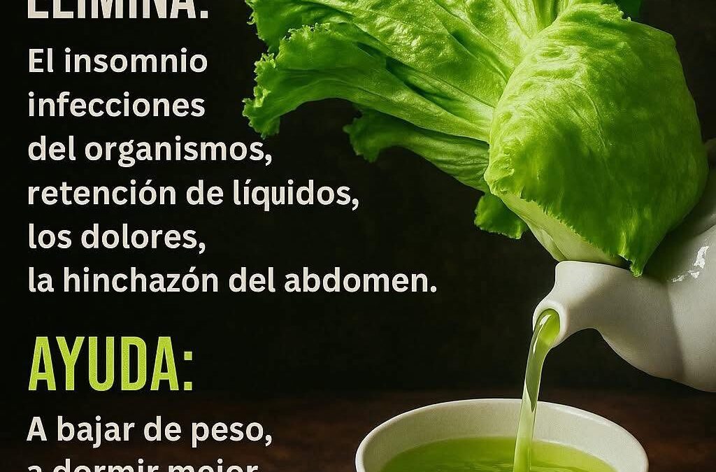 El té de lechuga: el secreto natural que no sabías que necesitabas