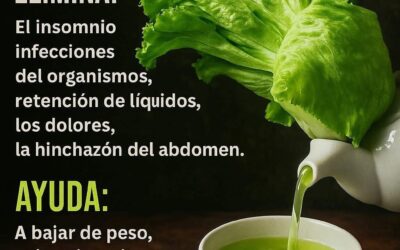 El té de lechuga: el secreto natural que no sabías que necesitabas