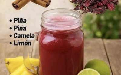 Remedio natural de piña, jamaica, canela y limón