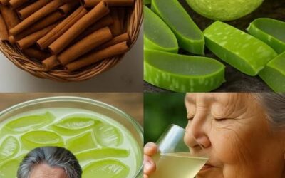 Recetas Saludables: Canela y Aloe Vera
