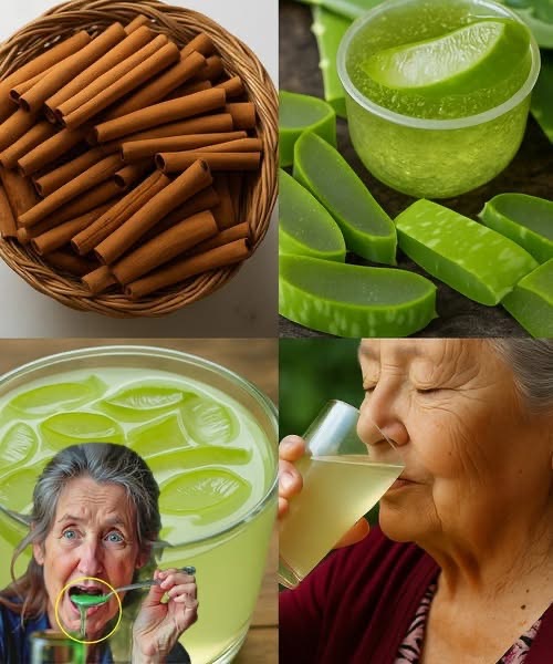 Recetas Saludables: Canela y Aloe Vera