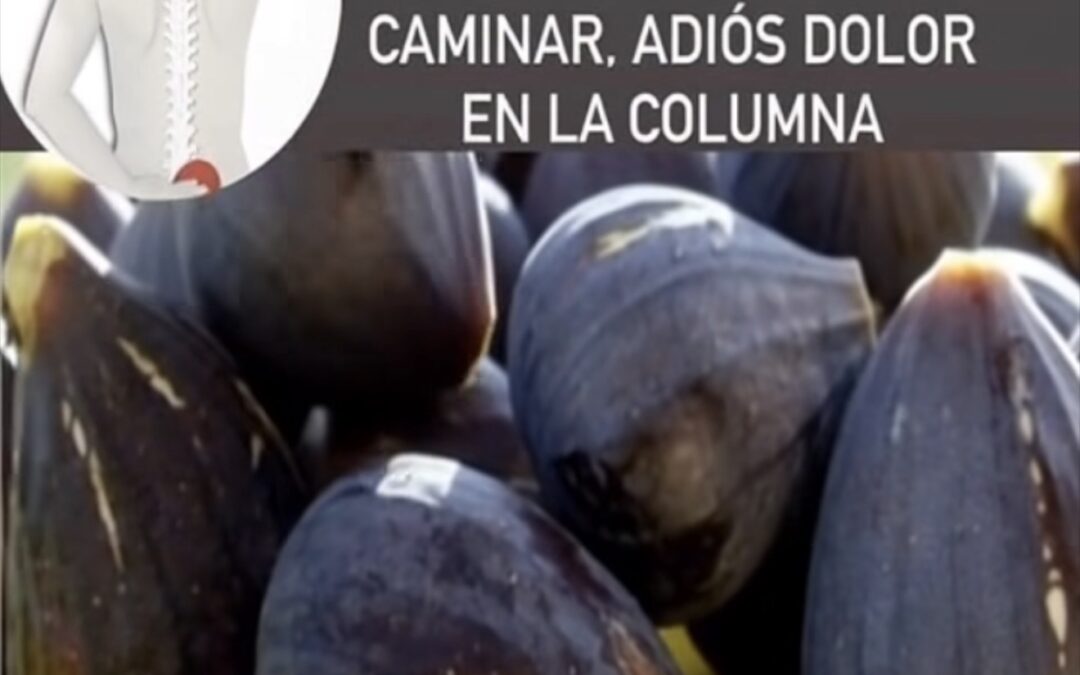 La Fruta que Ayudó a mi Abuela a Caminar de Nuevo: Alivio Natural para el Dolor de Columna y Articulaciones
