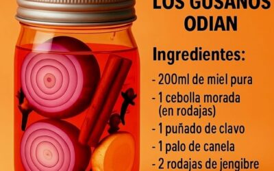 Remedio natural que limpia el organismo