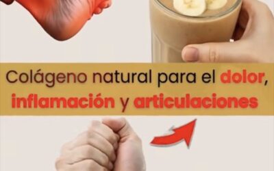Colágeno Casero