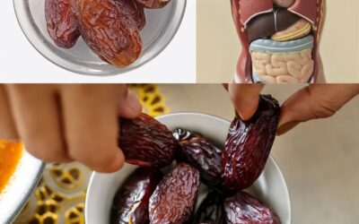 Los increíbles beneficios de los dátiles: el dulce superalimento de la naturaleza