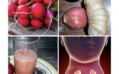 Adiós al Cansancio Rábanos Jengibre y Miel para una Tiroides Saludable
