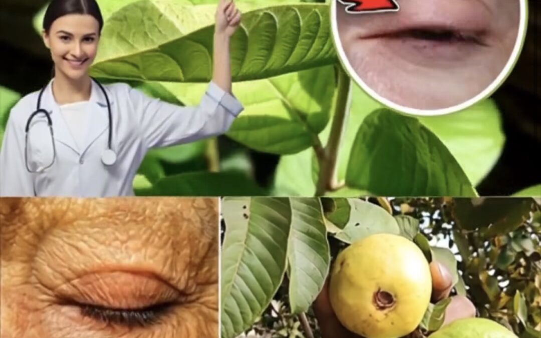 Beneficios de la Guayaba para la Salud Ocular