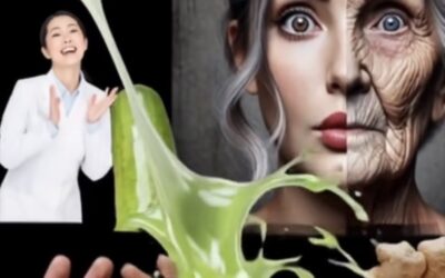 Rejuvenece Tu Piel Con Aloe Vera Jengibre Y Pepino