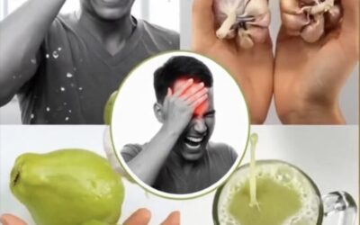 Beneficios del Chayote para Mejorar la Salud y Aliviar Dolores