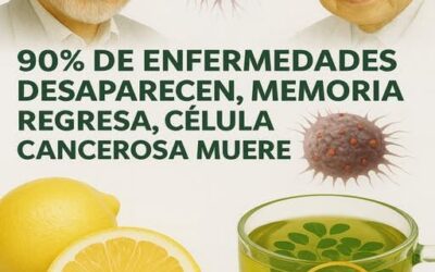 El Secreto Japonés para Llegar a los 100 Años