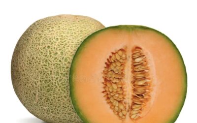BENEFICIOS DEL MELÓN