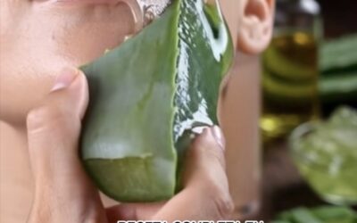 Rejuvenece Tu Piel con Pepino y Aloe Vera