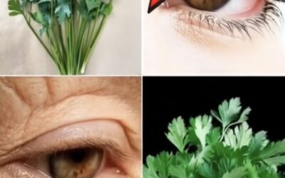 perejil para la visión.