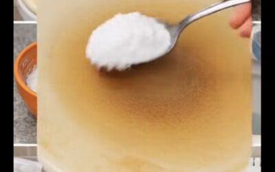 El Truco Casero que Devuelve la Vida al Asiento del Inodoro