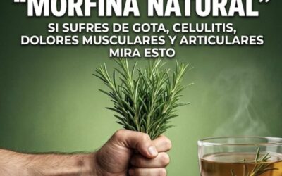LE LLAMAN LA MORFINA NATURAL