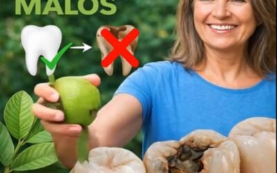 Hojas de Guayaba: El Secreto Natural para Cuidar la Caries Dental