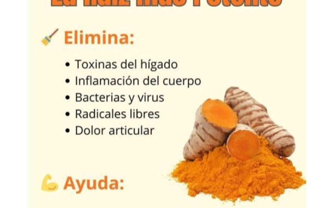 La Miel de Oro la Raíz Milagrosa que Todos Debemos Conocer