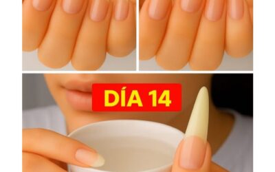 Cómo hacer crecer tus uñas muy rápido y largas en solo 10 días