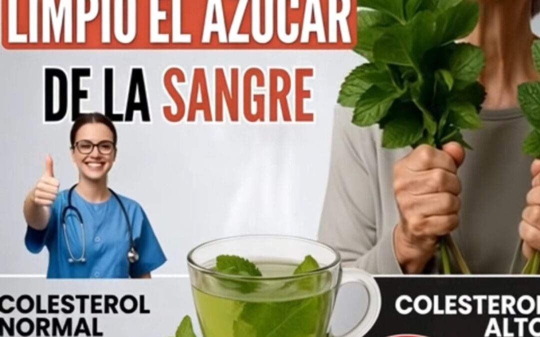 Está plata me limpio