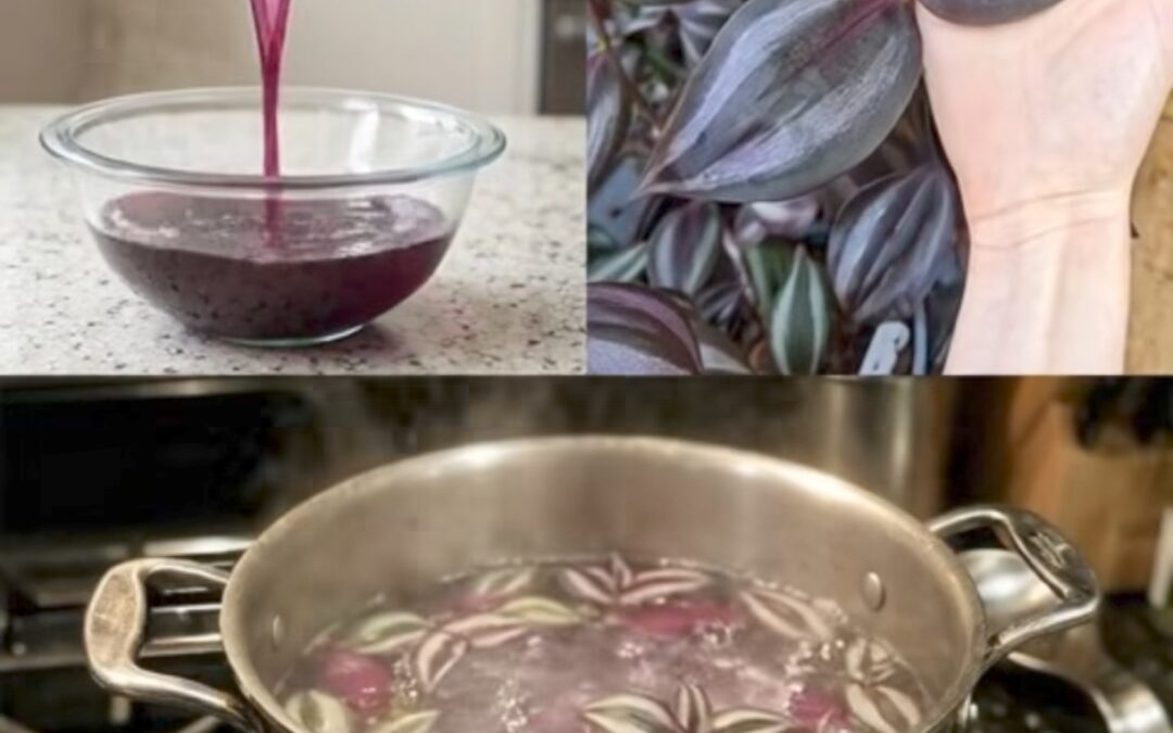 Ortiga Morada: Un Tesoro Silvestre para la Circulación y el Corazón