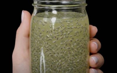 Bebida de colágeno natural