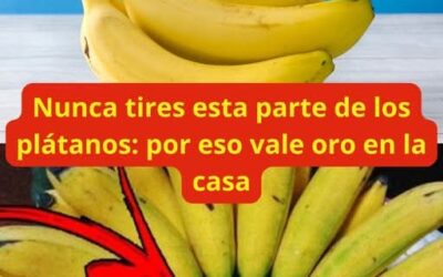 Nunca tires esta parte de los plátanos: por eso vale oro en la casa