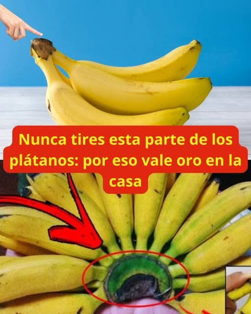 Nunca tires esta parte de los plátanos: por eso vale oro en la casa